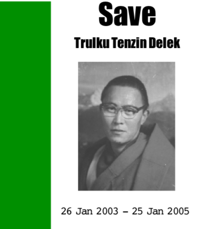 Save Trulku Tenzin Delek Brochure (2005)