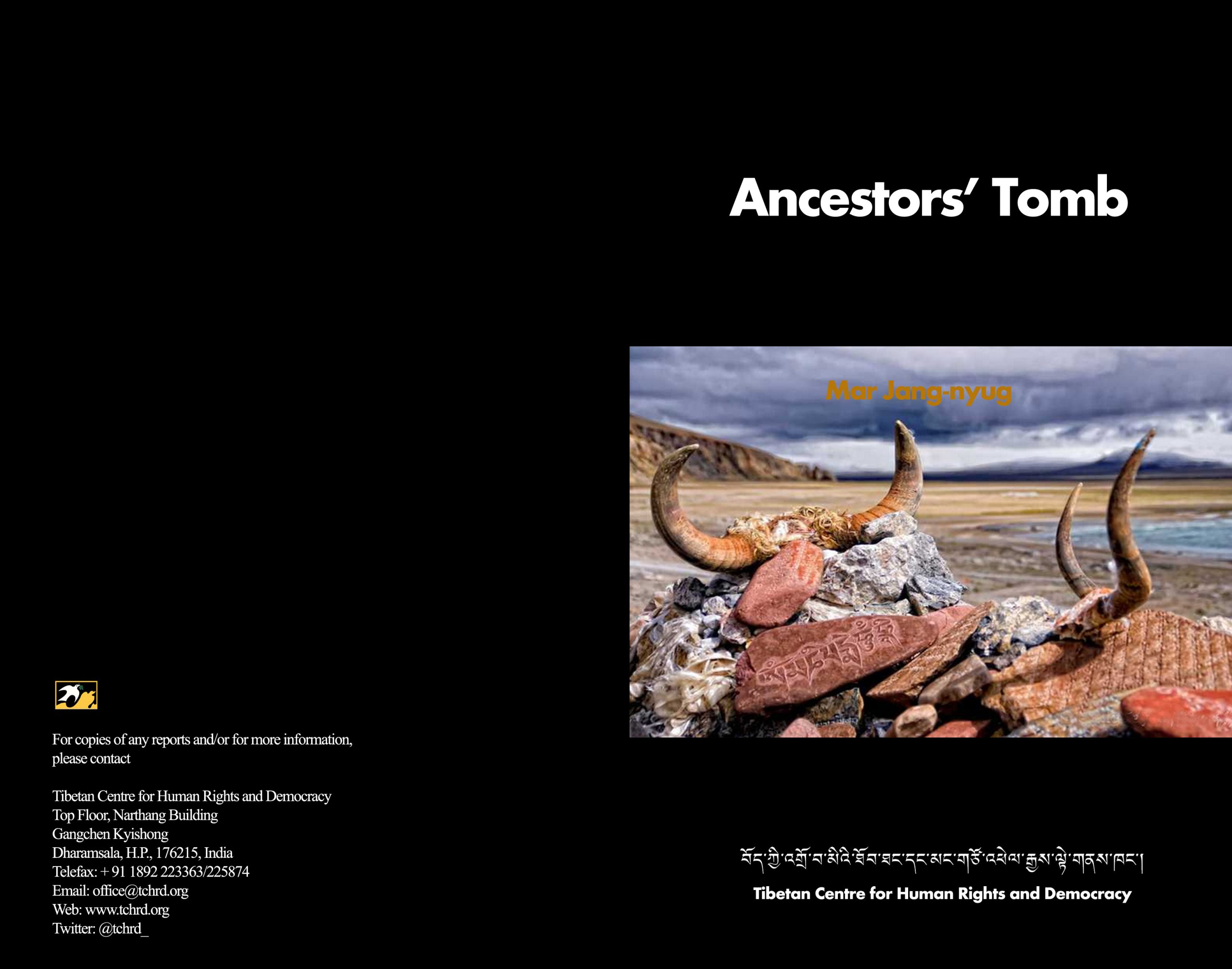 Dissenting Voices: TCHRD releases English translation of Ancestors’ Tomb