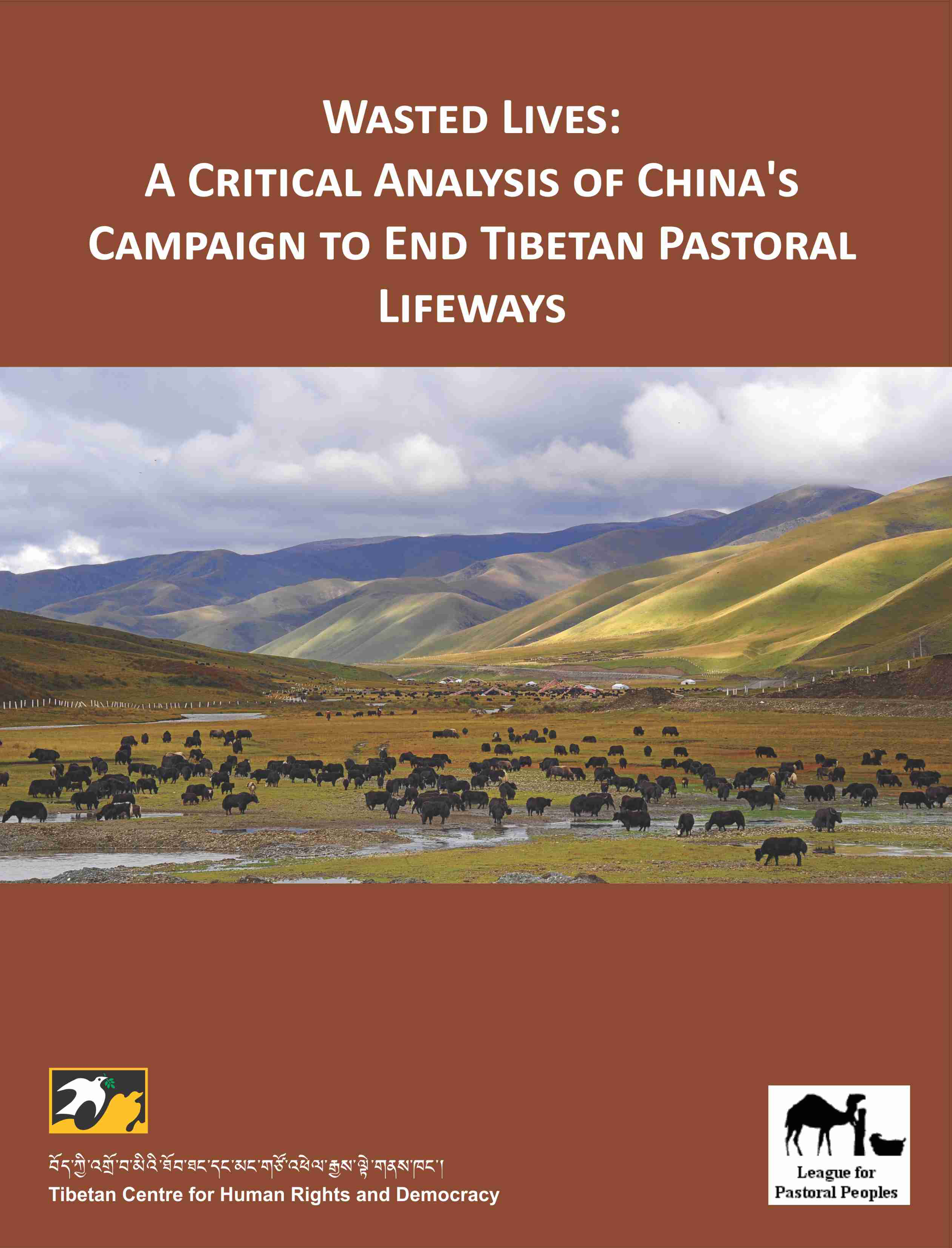 ‘WASTED LIVES’: New report offers fresh insights on travails of Tibetan nomads