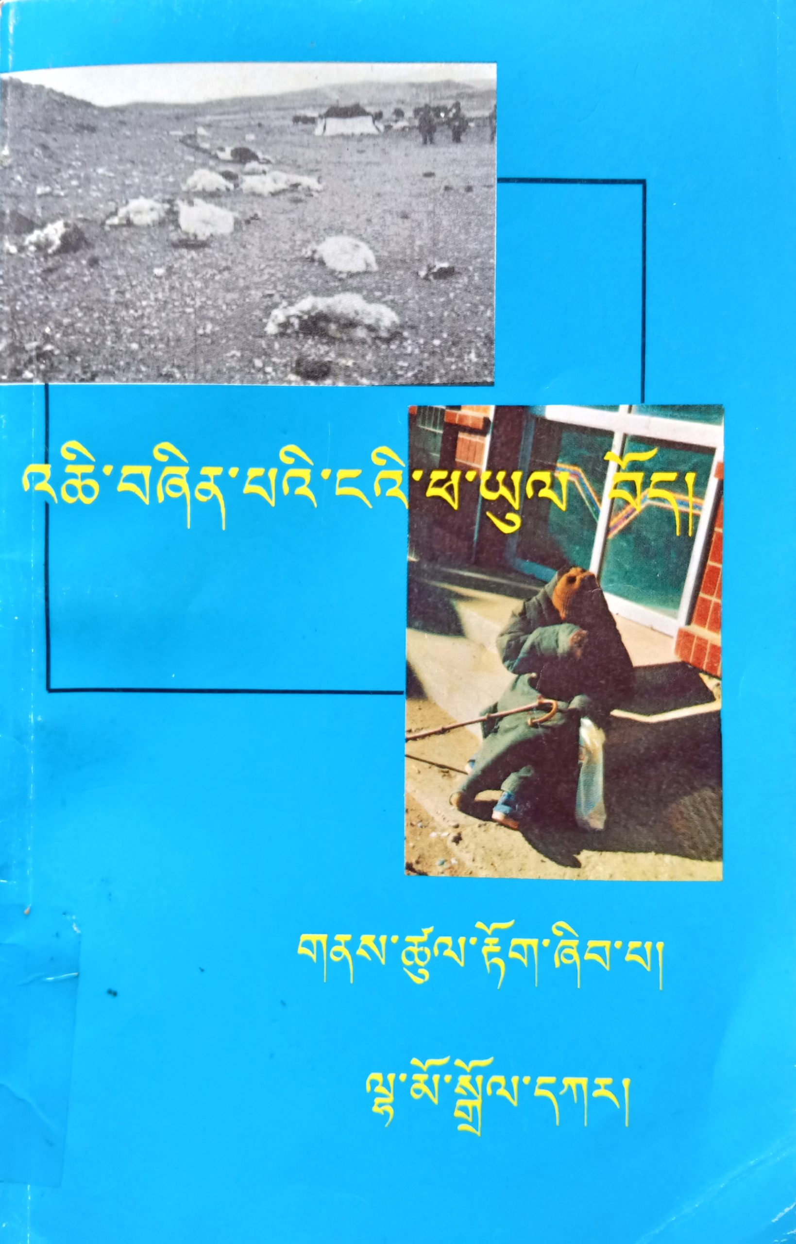 firsthand-report-dolkar