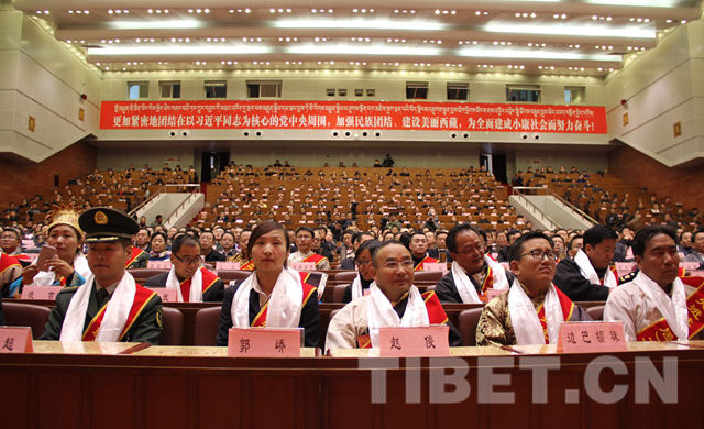 China extends grassroots surveillance program for ninth year in a row